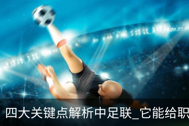 四大关键点解析中足联 它能给职业联赛带来哪些改变?