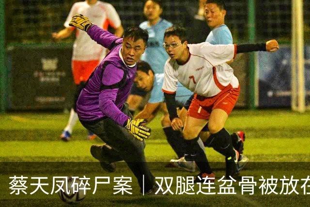 蔡天凤碎尸案｜双腿连盆骨被放在冰箱内，政府化验师形容“骨上面有点肉”